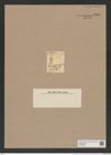 Lysicyclia vogellii Ehr. (de-Toni-Nr.: Genus 224, Species 5511) Zeichnungen Sammlung Grunow Nr. 9469 (NHMW-BOT-W0379336)